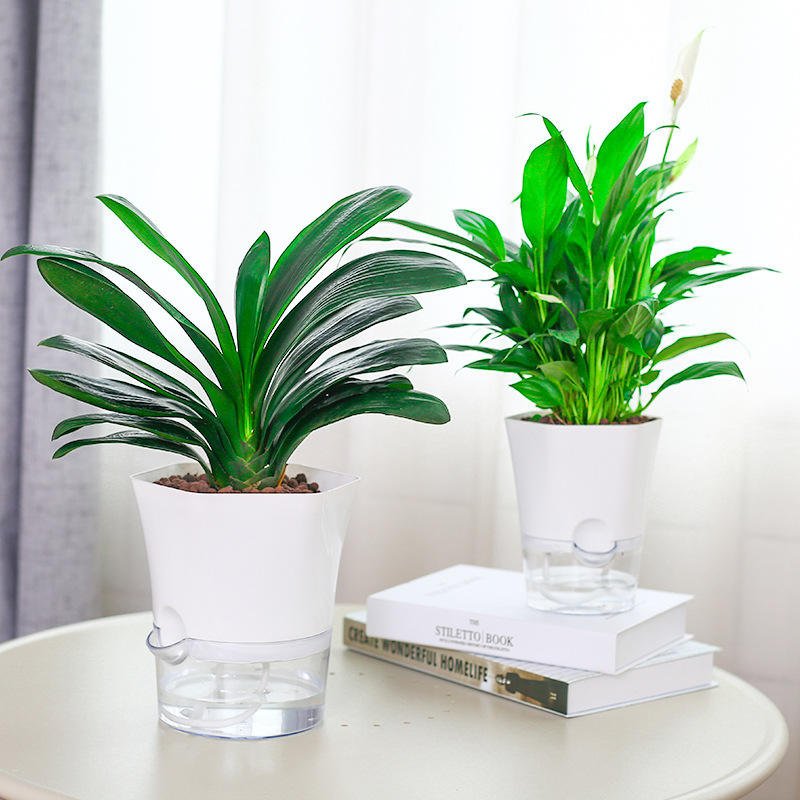 Self Watering Planter with Clear Base