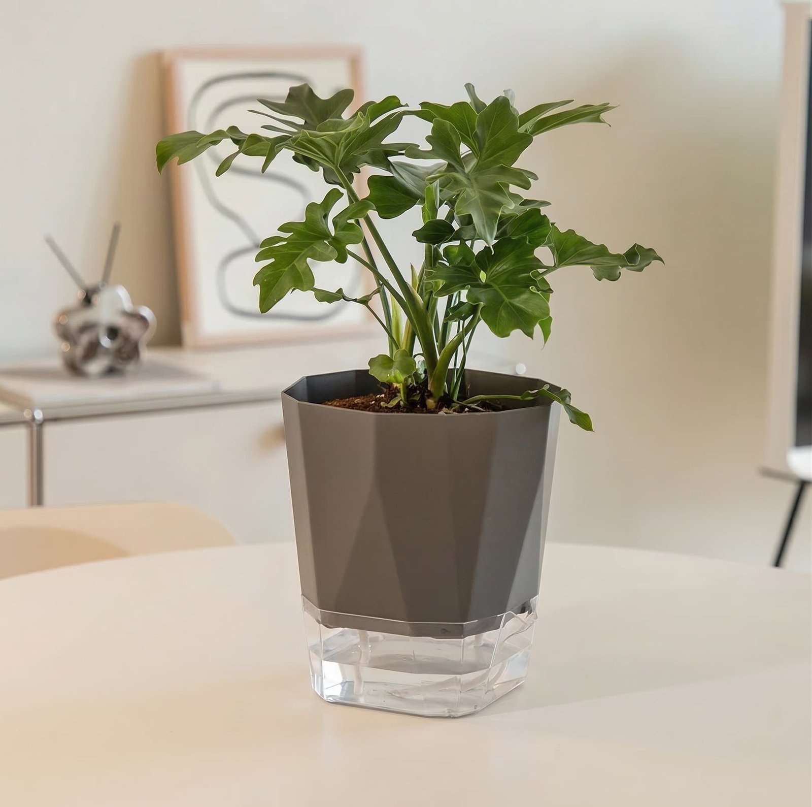 4 Self Watering Pot with Special Price
