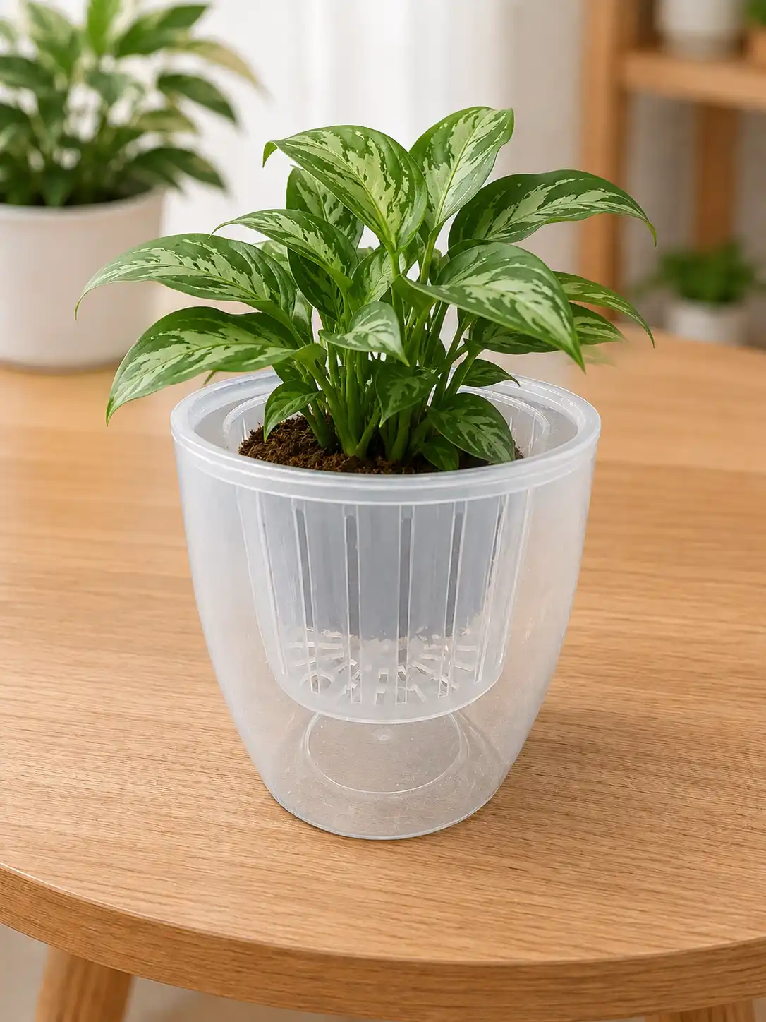 Transparent Self Watering Planter