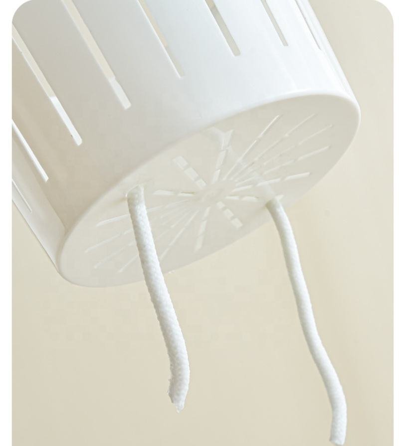 Transparent Self Watering Planter