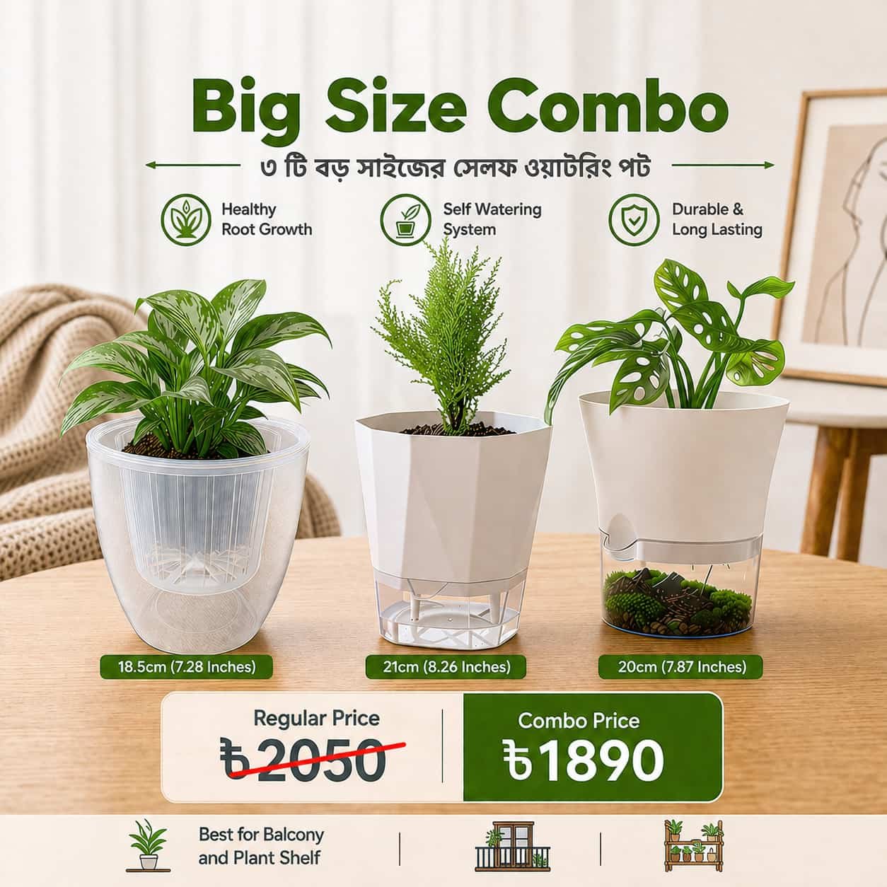 3 Big Size Self Watering Pot Combo