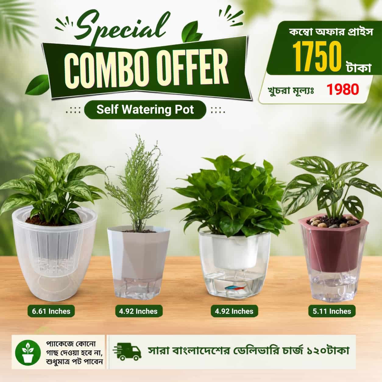 4 Self Watering Pot with Special Price