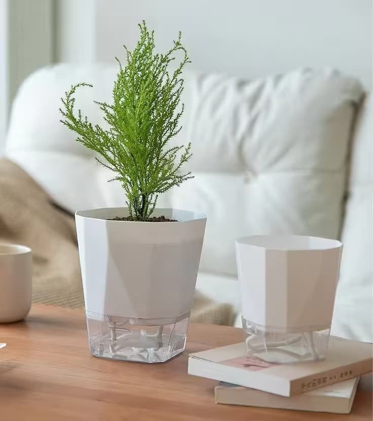 4 Self Watering Pot with Special Price